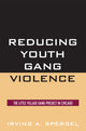 Book cover of: Reducing Youth Gang Violence. By: Irving A. Spergel