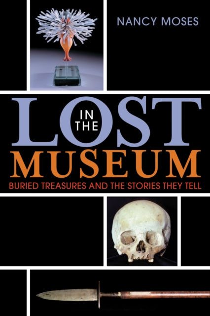 Book cover of: Lost in the Museum. By: Nancy Moses