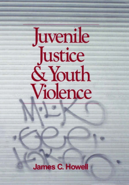 Book cover of: Juvenile Justice and Youth Violence