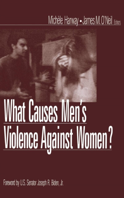 Book cover of: What Causes Men's Violence Against Women?
