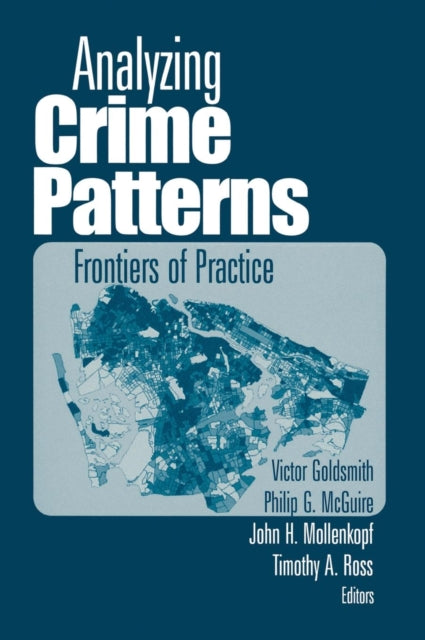 Book cover of: Analyzing Crime Patterns