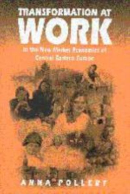 Book cover of: Transformation at Work. By: Anna Pollert