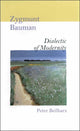 Book cover of: Zygmunt Bauman