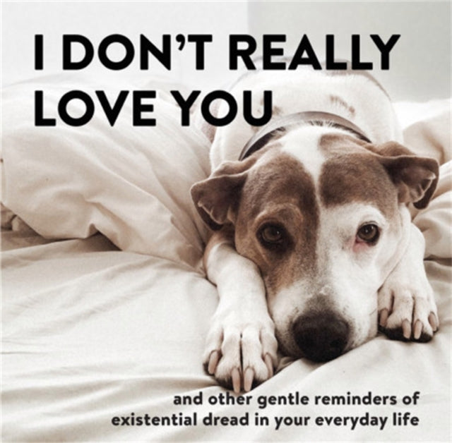 Book cover of: I Don't Really Love You. By: Alex Beyer