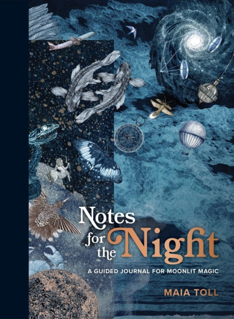 Book cover of: Notes for the Night. By: Maia Toll