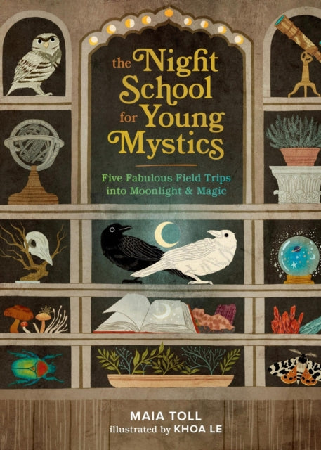 Book cover of: The Night School for Young Mystics. By: Maia Toll