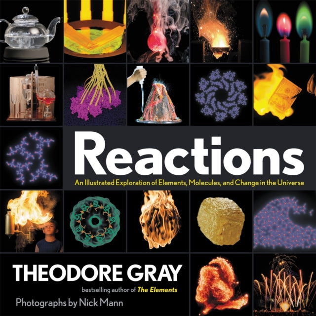 Book cover of: Reactions. By: Theodore Gray