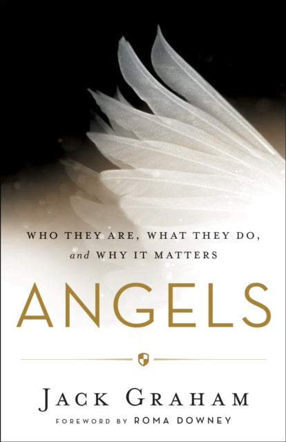 Book cover of: Angels – Who They Are, What They Do, and Why It Matters