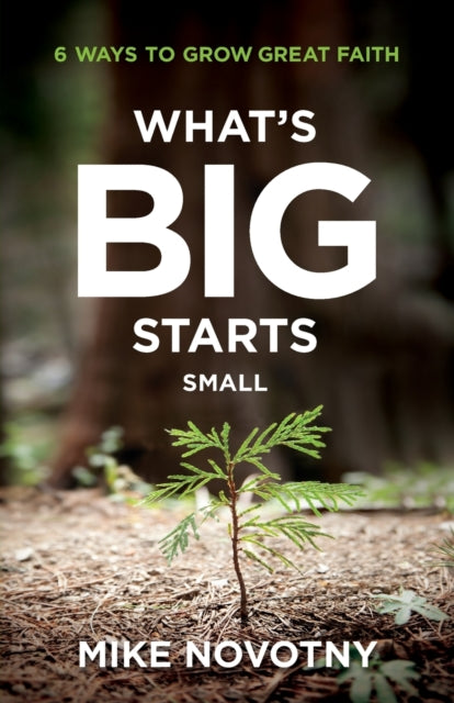 Book cover of: What`s Big Starts Small – 6 Ways to Grow Great Faith. By: Mike Novotny