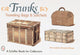 Book cover of: Trunks, Traveling Bags, and Satchels
