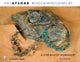Book cover of: Beads & Wires Jewelry. By: Ani Afshar