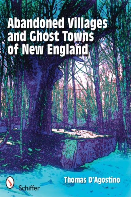 Book cover of: Abandoned Villages and Ghost Towns of New England. By: Thomas D'Agostino