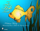 Book cover of: Fish Tank. By: Kristina Henry