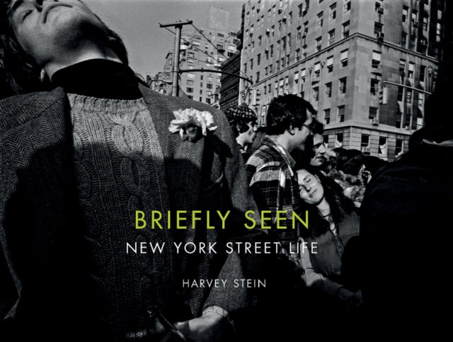Book cover of: Briefly Seen. By: Harvey Stein