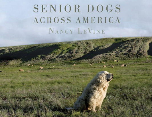 Book cover of: Senior Dogs Across America. By: Nancy LeVine
