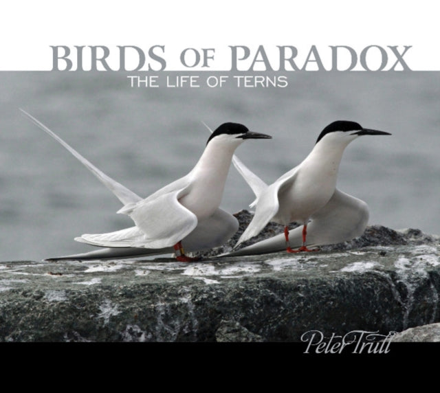 Book cover of: Birds of Paradox. By: Peter Trull