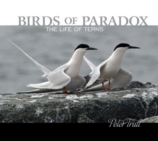 Book cover of: Birds of Paradox. By: Peter Trull