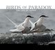 Book cover of: Birds of Paradox. By: Peter Trull