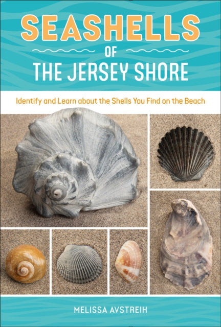 Book cover of: Seashells of the Jersey Shore. By: Melissa Avstreih