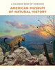 Book cover of: Coloring Book of Dioramas