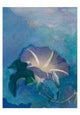 Book cover of: John La Farge
