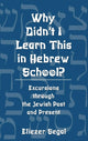 Book cover of: Why Didn't I Learn This in Hebrew School?