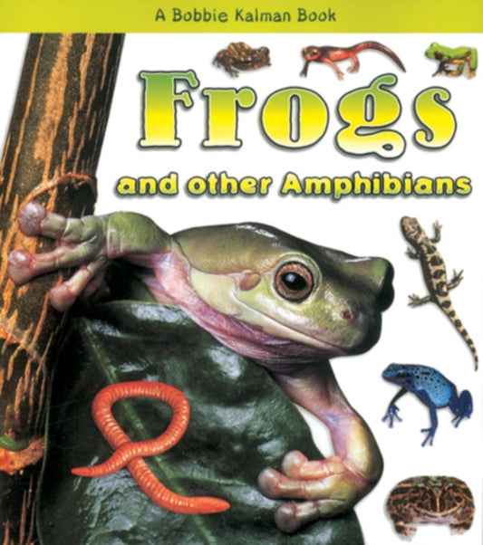 Book cover of: Frogs and Other Amphibians. By: Kathryn Smithyman