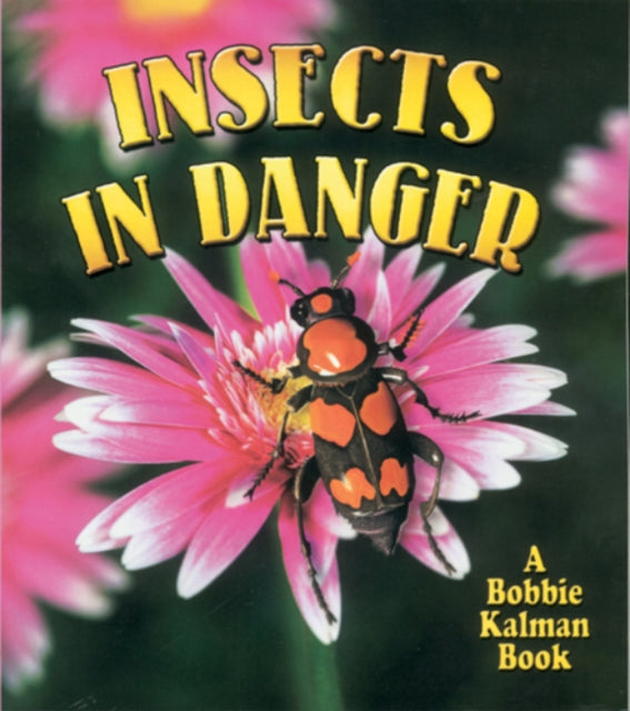 Book cover of: Insects in Danger. By: Kathryn Smithyman