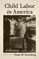 Book cover of: Child Labor in America. By: Chaim M. Rosenberg