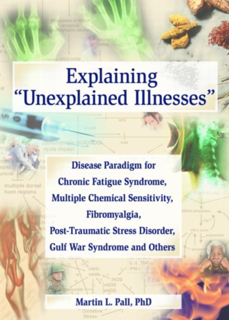 Book cover of: Explaining Unexplained Illnesses. By: Martin L. Pall
