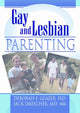 Book cover of: Gay and Lesbian Parenting