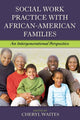 Book cover of: Social Work Practice with African American Families