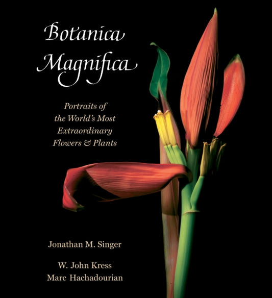 Book cover of: Botanica Magnifica. By: Jonathan Singer