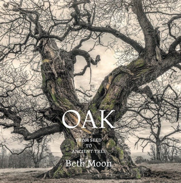 Book cover of: Oak