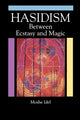 Book cover of: Hasidism. By: Moshe Idel