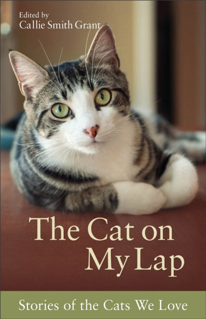 Book cover of: Cat on My Lap – Stories of the Cats We Love
