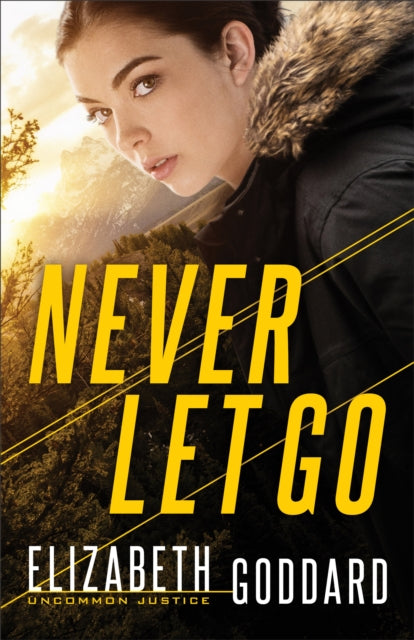 Book cover of: Never Let Go. By: Elizabeth Goddard