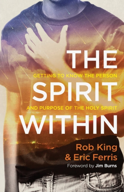Book cover of: Spirit Within, The. By: King, Rob, Ferris, Eric