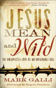Book cover of: Jesus Mean and Wild – The Unexpected Love of an Untamable God. By: Mark Galli