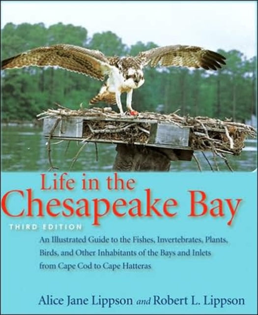 Book cover of: Life in the Chesapeake Bay