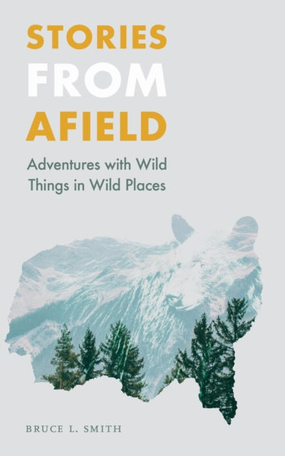 Book cover of: Stories from Afield. By: Bruce L. Smith