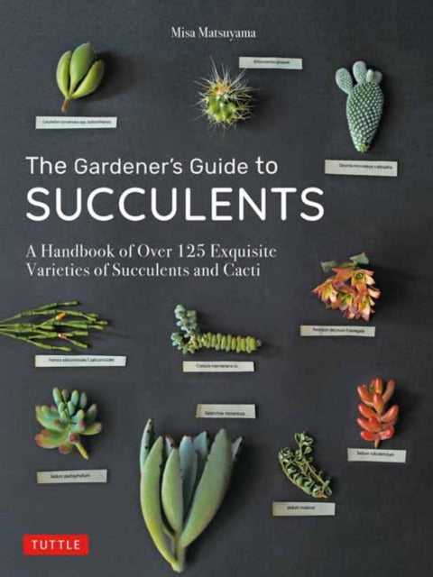 Book cover of: Gardener's Guide to Succulents