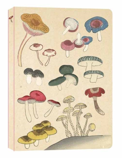 Book cover of: Healing Mushrooms Lined Paperback Journal. By: Tuttle Studio