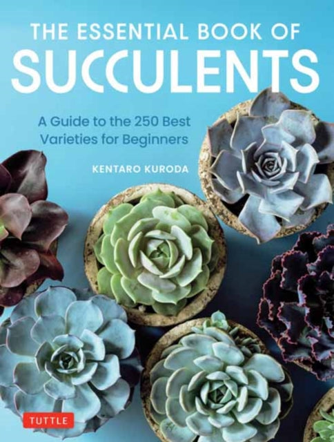 Book cover of: Essential Book of Succulents