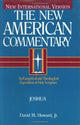 Book cover of: Joshua