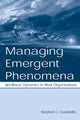 Book cover of: Managing Emergent Phenomena. By: Stephen J. Guastello