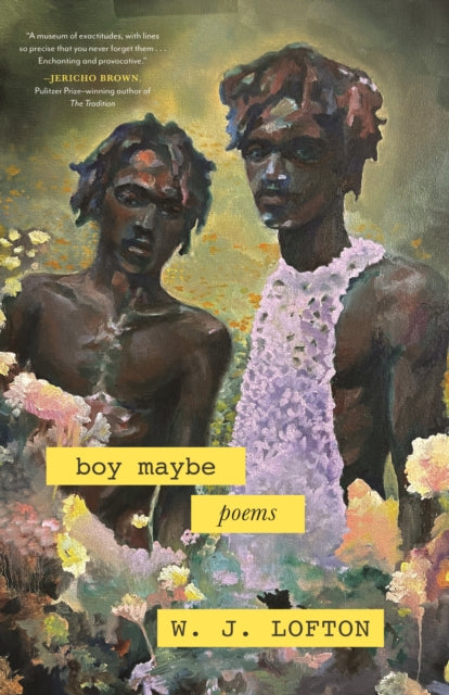 Book cover of: boy maybe