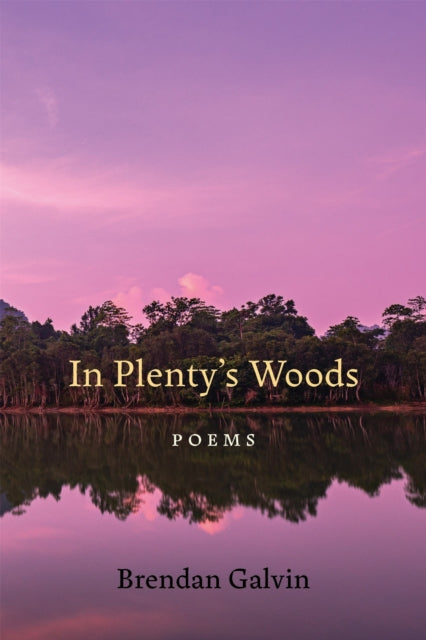 Book cover of: In Plenty's Woods