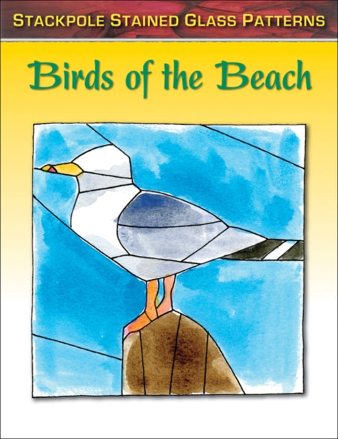 Book cover of: Birds of the Beach. By: Sandy Allison