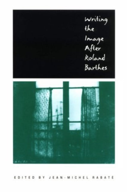 Book cover of: Writing the Image After Roland Barthes